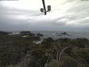 ./images/calvert/lookout/20210506/lookout20210506_103501.jpg