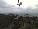 ./images/calvert/lookout/20210506/lookout20210506_104502.jpg