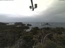 ./images/calvert/lookout/20210506/lookout20210506_105002.jpg