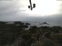 ./images/calvert/lookout/20210506/lookout20210506_105502.jpg
