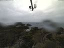 ./images/calvert/lookout/20210506/lookout20210506_112002.jpg