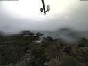./images/calvert/lookout/20210506/lookout20210506_112501.jpg