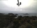 ./images/calvert/lookout/20210506/lookout20210506_115001.jpg