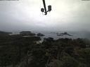 ./images/calvert/lookout/20210506/lookout20210506_115501.jpg