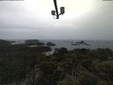 ./images/calvert/lookout/20210506/lookout20210506_123501.jpg