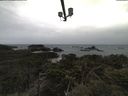 ./images/calvert/lookout/20210506/lookout20210506_134501.jpg