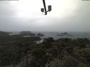 ./images/calvert/lookout/20210506/lookout20210506_135001.jpg