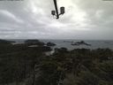 ./images/calvert/lookout/20210506/lookout20210506_140001.jpg