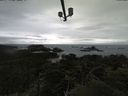 ./images/calvert/lookout/20210506/lookout20210506_163502.jpg