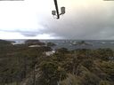 ./images/calvert/lookout/20210507/lookout20210507_061002.jpg