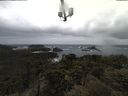 ./images/calvert/lookout/20210507/lookout20210507_112501.jpg