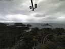 ./images/calvert/lookout/20210507/lookout20210507_141002.jpg