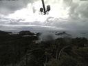./images/calvert/lookout/20210507/lookout20210507_161502.jpg