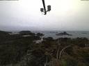 ./images/calvert/lookout/20210508/lookout20210508_053502.jpg