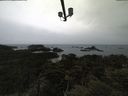 ./images/calvert/lookout/20210508/lookout20210508_084501.jpg