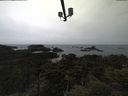 ./images/calvert/lookout/20210508/lookout20210508_085001.jpg