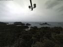 ./images/calvert/lookout/20210508/lookout20210508_085501.jpg