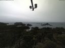 ./images/calvert/lookout/20210508/lookout20210508_091002.jpg