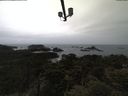 ./images/calvert/lookout/20210508/lookout20210508_092502.jpg