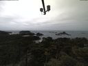 ./images/calvert/lookout/20210508/lookout20210508_093502.jpg
