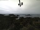 ./images/calvert/lookout/20210508/lookout20210508_094502.jpg