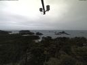 ./images/calvert/lookout/20210508/lookout20210508_095001.jpg