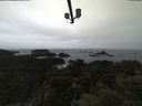 ./images/calvert/lookout/20210508/lookout20210508_095501.jpg