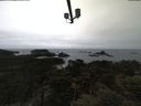 ./images/calvert/lookout/20210508/lookout20210508_100501.jpg