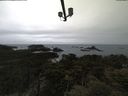 ./images/calvert/lookout/20210508/lookout20210508_101001.jpg