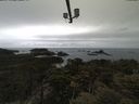 ./images/calvert/lookout/20210508/lookout20210508_102001.jpg