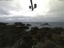 ./images/calvert/lookout/20210508/lookout20210508_105501.jpg