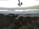./images/calvert/lookout/20210508/lookout20210508_111502.jpg