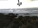 ./images/calvert/lookout/20210508/lookout20210508_112002.jpg