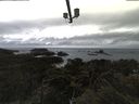 ./images/calvert/lookout/20210508/lookout20210508_112502.jpg