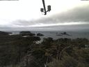 ./images/calvert/lookout/20210508/lookout20210508_120501.jpg