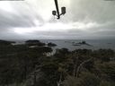 ./images/calvert/lookout/20210508/lookout20210508_122001.jpg