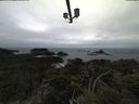 ./images/calvert/lookout/20210508/lookout20210508_131002.jpg