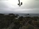 ./images/calvert/lookout/20210508/lookout20210508_134001.jpg