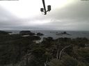 ./images/calvert/lookout/20210508/lookout20210508_134501.jpg