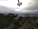 ./images/calvert/lookout/20210508/lookout20210508_141001.jpg