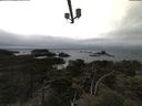 ./images/calvert/lookout/20210508/lookout20210508_143501.jpg