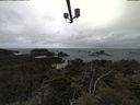 ./images/calvert/lookout/20210508/lookout20210508_145502.jpg