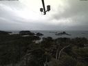 ./images/calvert/lookout/20210508/lookout20210508_150502.jpg