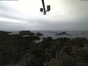 ./images/calvert/lookout/20210508/lookout20210508_151002.jpg