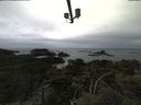 ./images/calvert/lookout/20210508/lookout20210508_154001.jpg