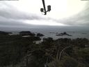 ./images/calvert/lookout/20210508/lookout20210508_161001.jpg