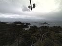 ./images/calvert/lookout/20210508/lookout20210508_162001.jpg