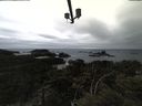 ./images/calvert/lookout/20210508/lookout20210508_170502.jpg