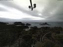 ./images/calvert/lookout/20210508/lookout20210508_171002.jpg