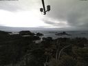 ./images/calvert/lookout/20210508/lookout20210508_171501.jpg
